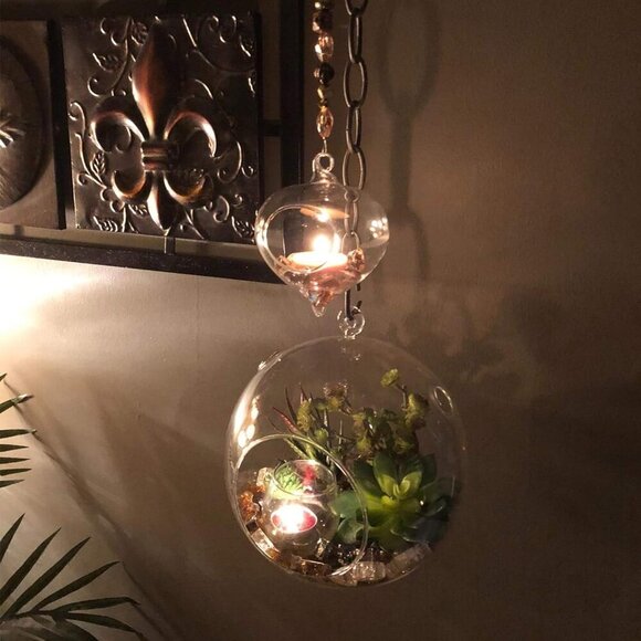 WGV Hanging Terrarium Globe, Width 8", Height 9", DIY Air Succulent Planter, Cle - Picture 7 of 9
